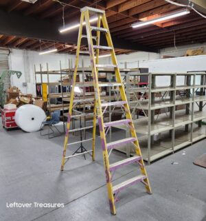 M113- Werner Electro-Master 10ft Ladder