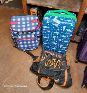 s31- luggage, bags