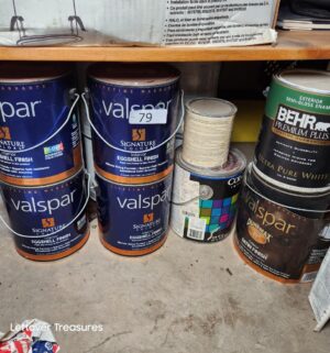s79- mostly full premium paint