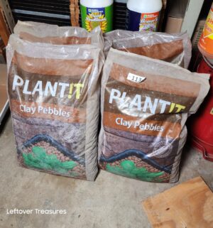 s113- plant it clay pebbles