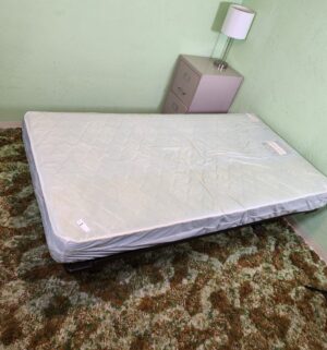 t1- Vintage Twin Mattress Only. Kept in Plastic