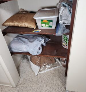t23- all contents in the linen closet. Bedding for twin and queen - Image 4