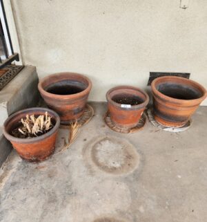 t35- Terracotta pots