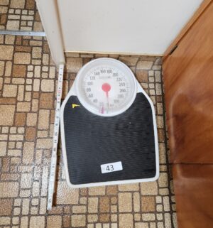 t43- scale