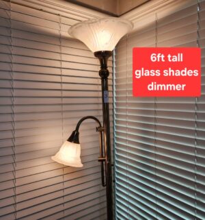 t75- Two Light Lamp w/ dimmer. Glass Shades