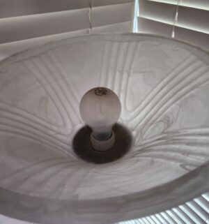 t75- Two Light Lamp w/ dimmer. Glass Shades - Image 6