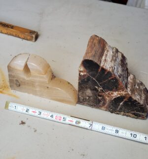 t213- Petrified Wood, Marble Bookends