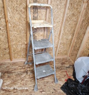 v16- Cosco Step Ladder
