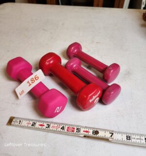 v186- sm hand weights
