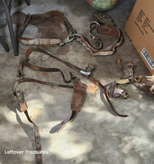 w135- antique horse bridal accessories