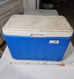 y183- coleman cooler - Image 1
