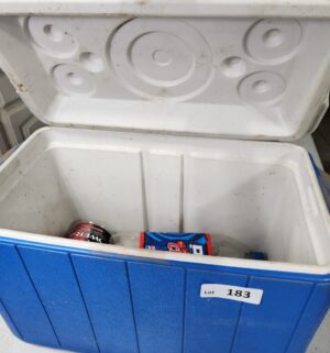 y183- coleman cooler - Image 2
