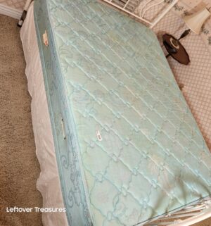 y310- Queen Mattress & Boxspring. No Frame - Image 1