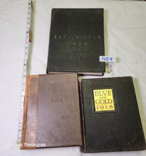 y409- Antique Blue & gold year books with artwork - Image 1