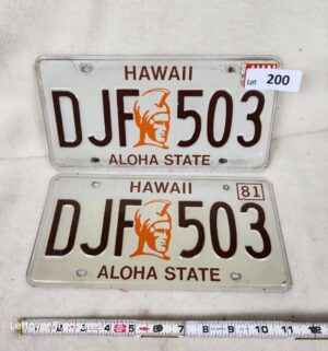b200- Vintage Hawaii Matching License Plate Set