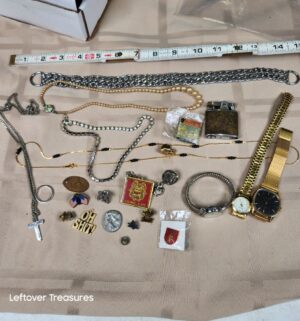 c129- Jewelry, Pin Collection