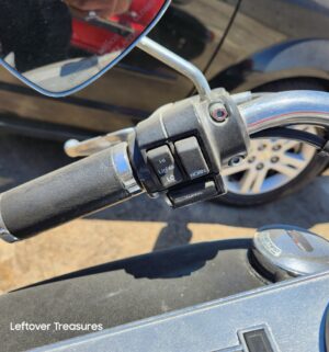 c165- 1994 Harley Davidson Road King Motorcyle & 1995 Bushtee Trailer. Pink Slip Transfer on Both - Image 14