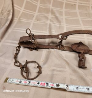 d51- long spring animal trap - Image 2